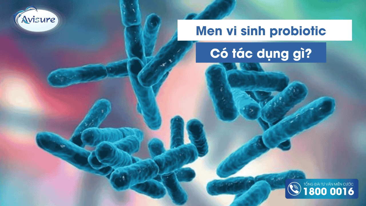 Men vi sinh probiotic là gì? 